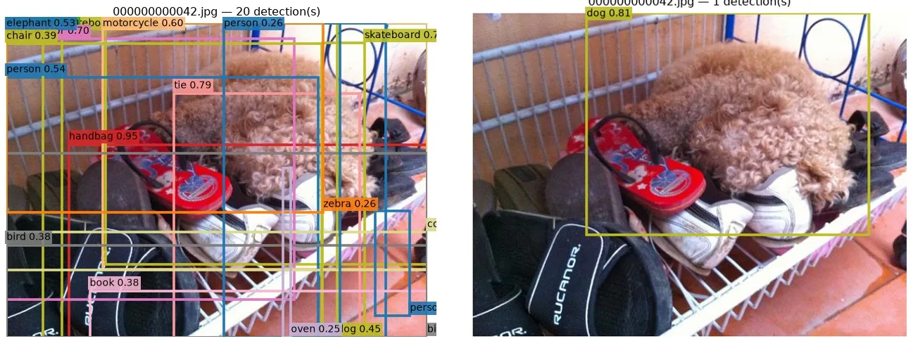 The same photo before and after: twenty wrong boxes on the left, a single box labelled dog 0.81 on the right