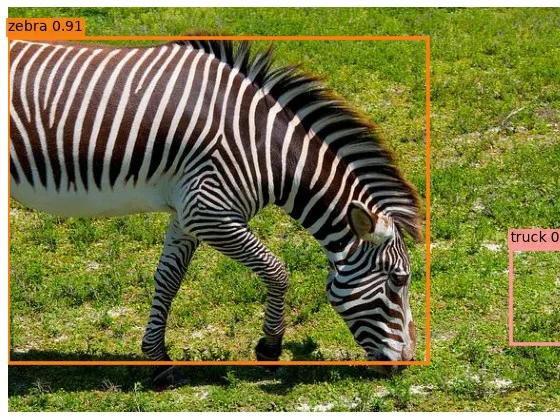 A grazing zebra with a predicted bounding box labelled zebra 0.91